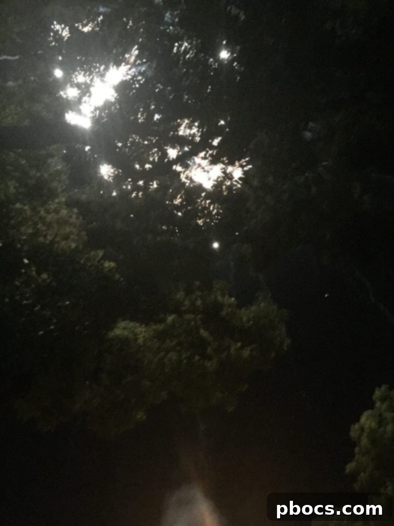 A family watching spectacular fireworks light up the night sky during their Fourth of July celebration.