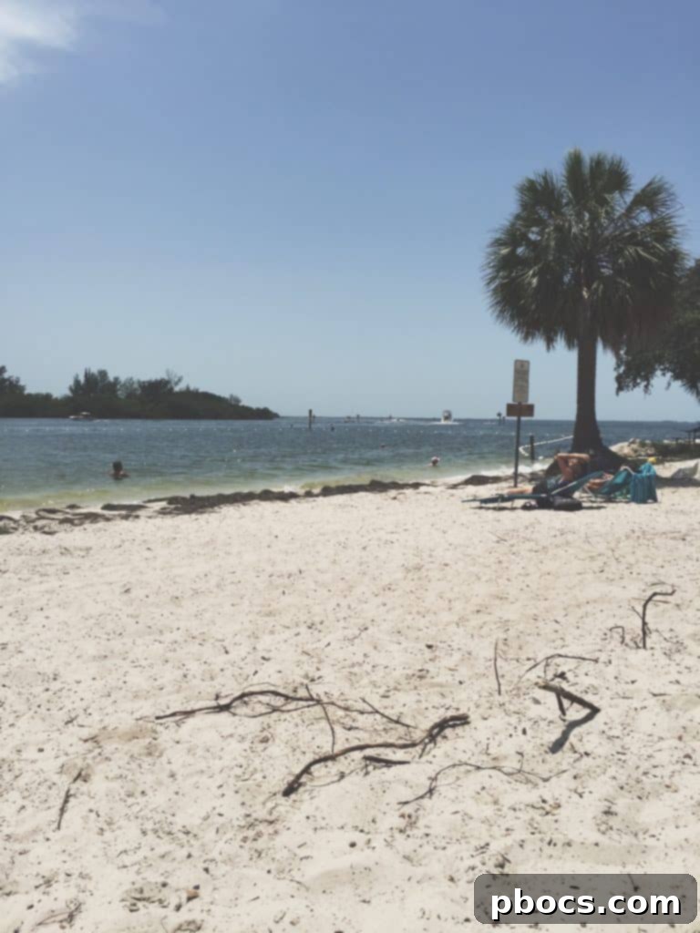 A artistic photo of the beach taken with a VSCOcam filter, highlighting the natural beauty of the coastline.