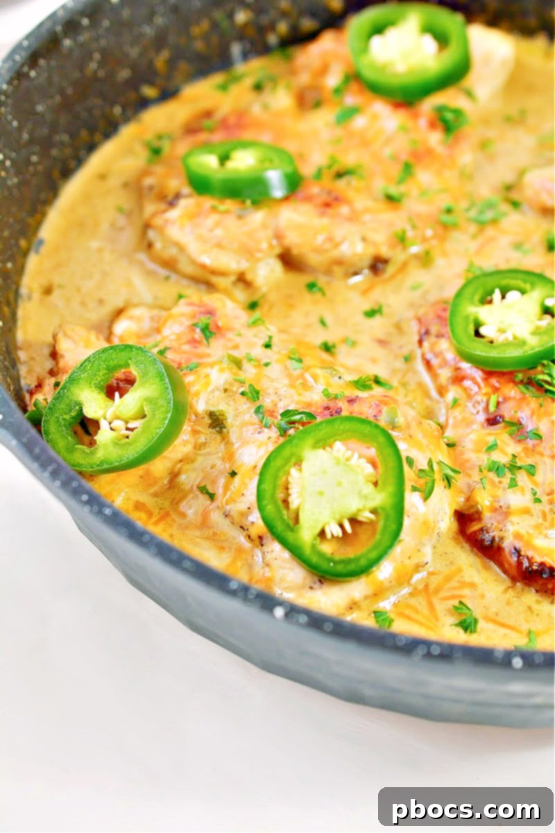 Zesty Low Carb Salsa Verde Chicken Dinner 6 Low-Carb Salsa Verde Chicken Recipe