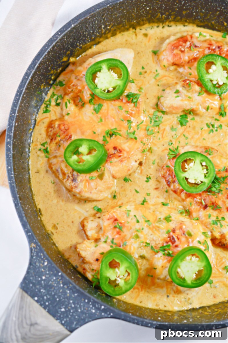 Zesty Low Carb Salsa Verde Chicken Dinner 9 Low-Carb Salsa Verde Chicken Recipe