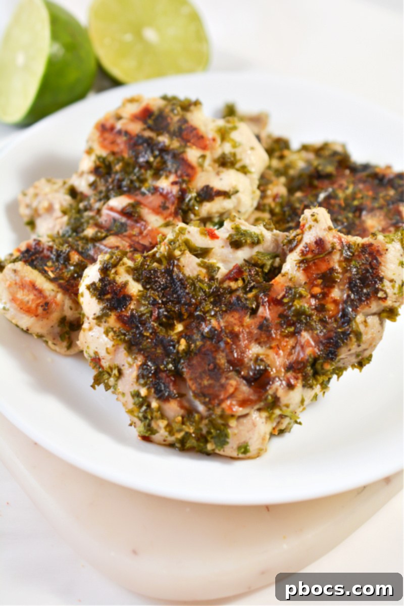 Assortment of grilled low-carb ingredients, including vegetables and chicken
