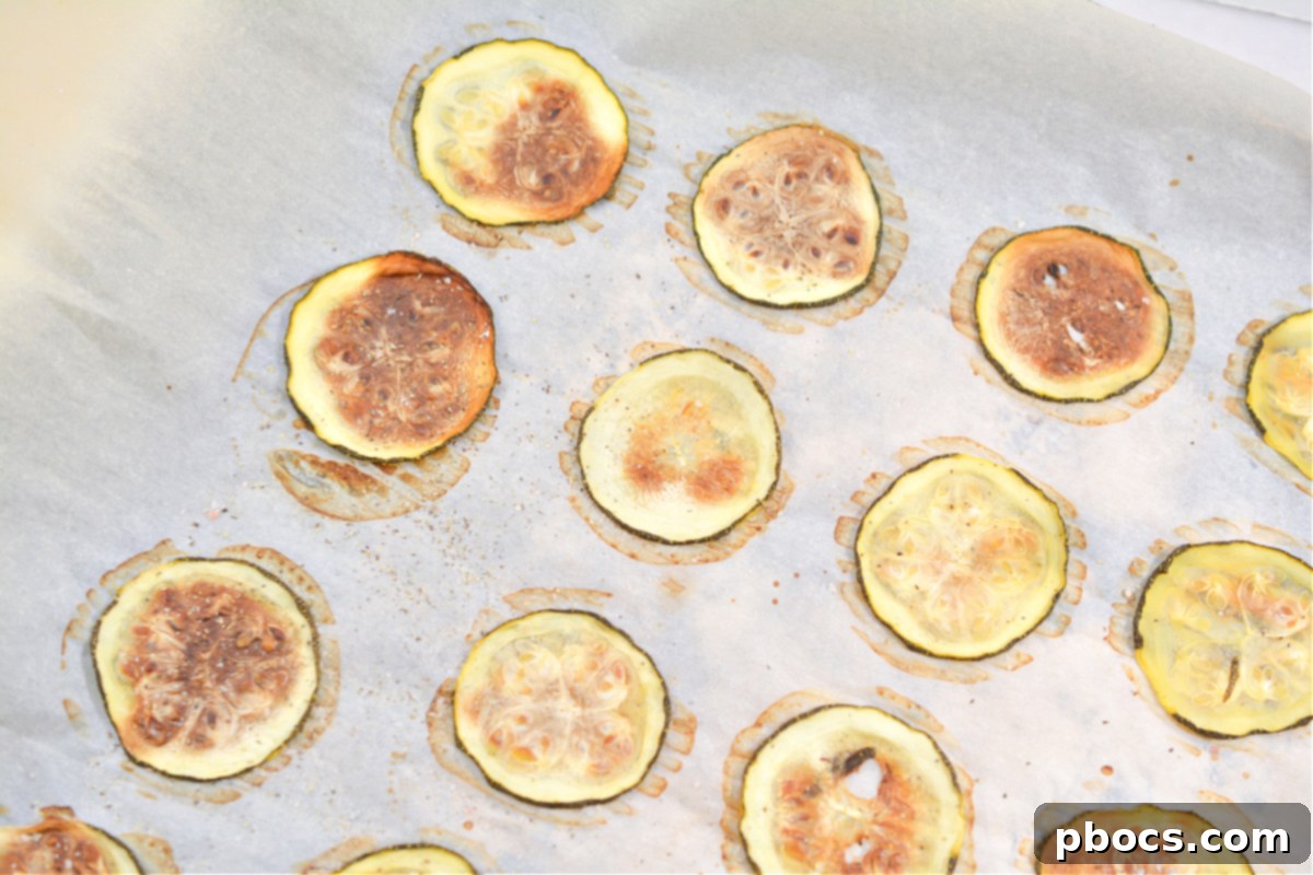 Crispy zucchini chips