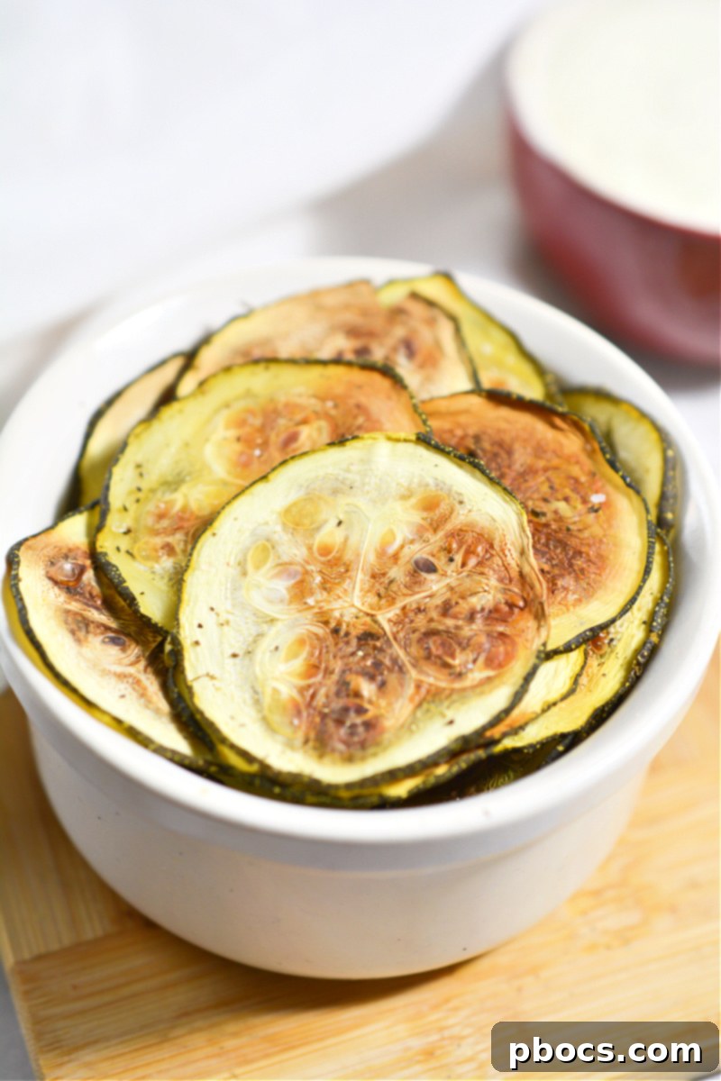 Homemade Zucchini Chips Storage
