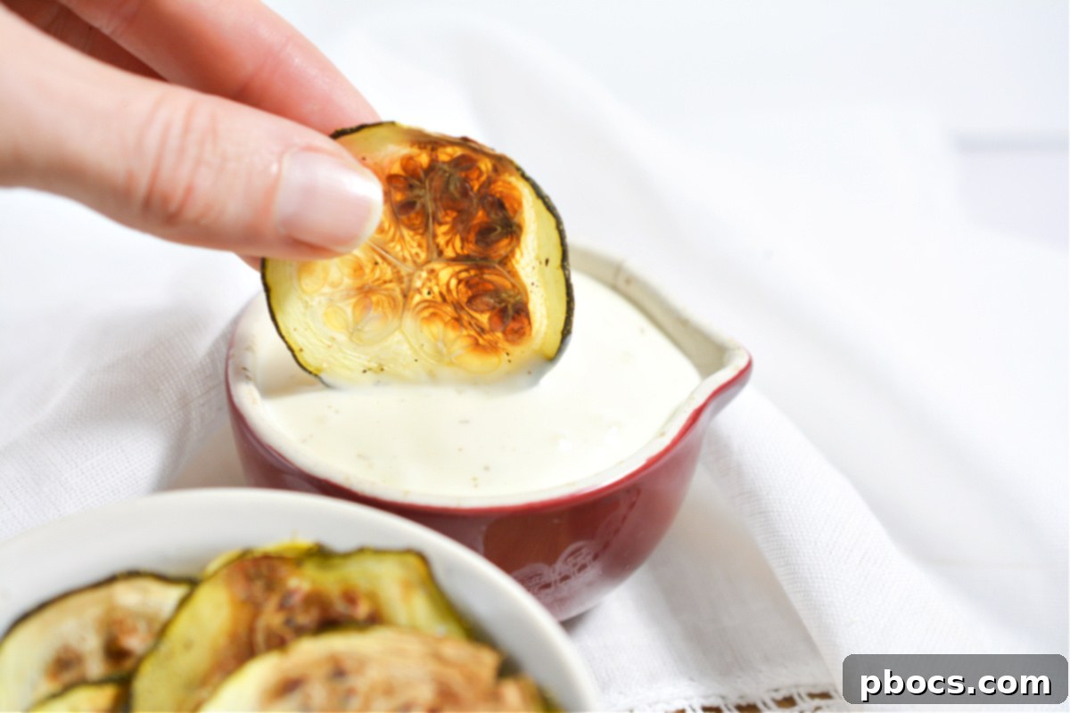 Customizable Keto Zucchini Chip Seasoning