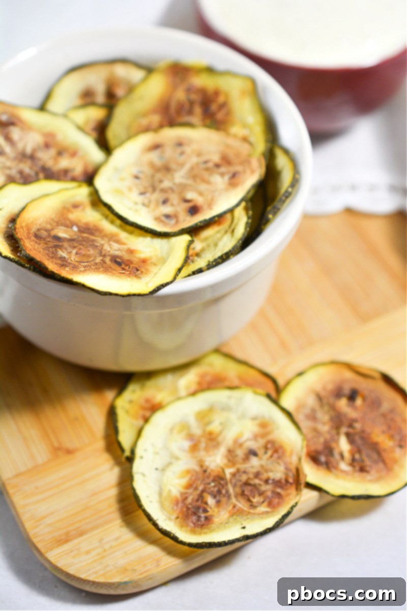 Variety of Keto Chip Recipes