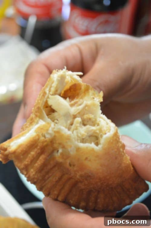 Simple Savory Chicken Empanadas 12 Easy Chicken Empanadas