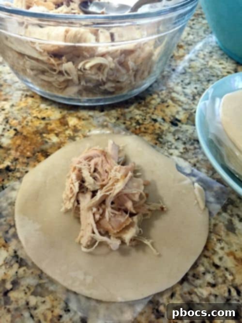 Simple Savory Chicken Empanadas 7 Easy Chicken Empanadas