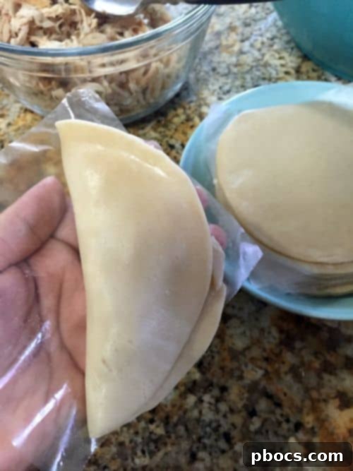 Simple Savory Chicken Empanadas 8 Easy Chicken Empanadas