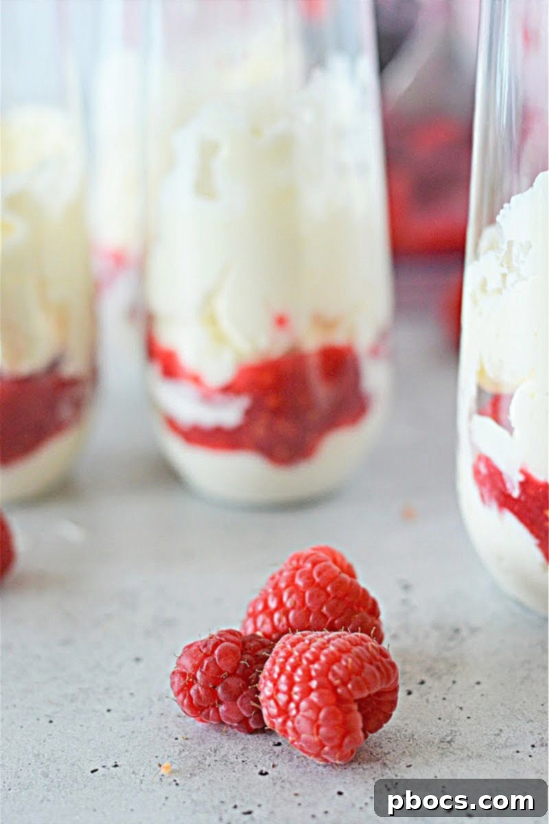 Keto Cheesecake Fluff with raspberry sauce and chocolate chips in a glass
