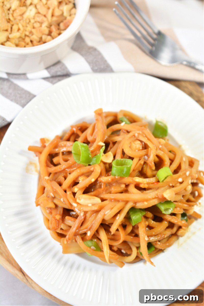 Low Carb Palmini Peanut Noodles 8 Low-Carb Pasta - Palmini Peanut Noodles