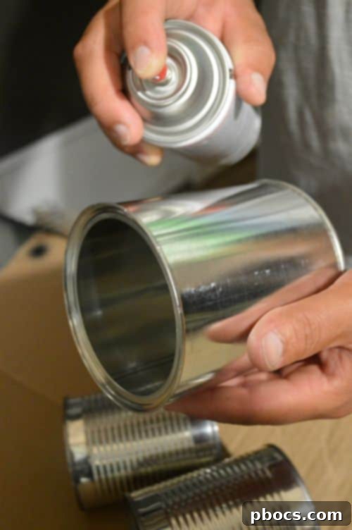 Step 4: Spray painting cans and foam board matte black