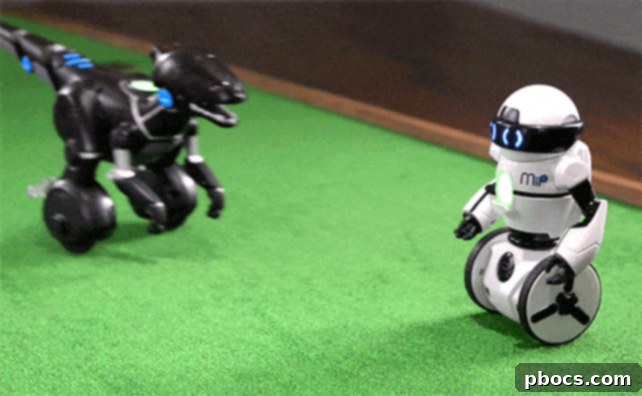 The Inner Sanctum 6 Man Cave GIF 7 Large