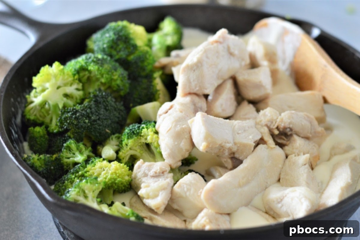 Creamy Low-Carb Chicken Alfredo 12 Cheeses, onion powder, and oregano being stirred into the creamy alfredo sauce.