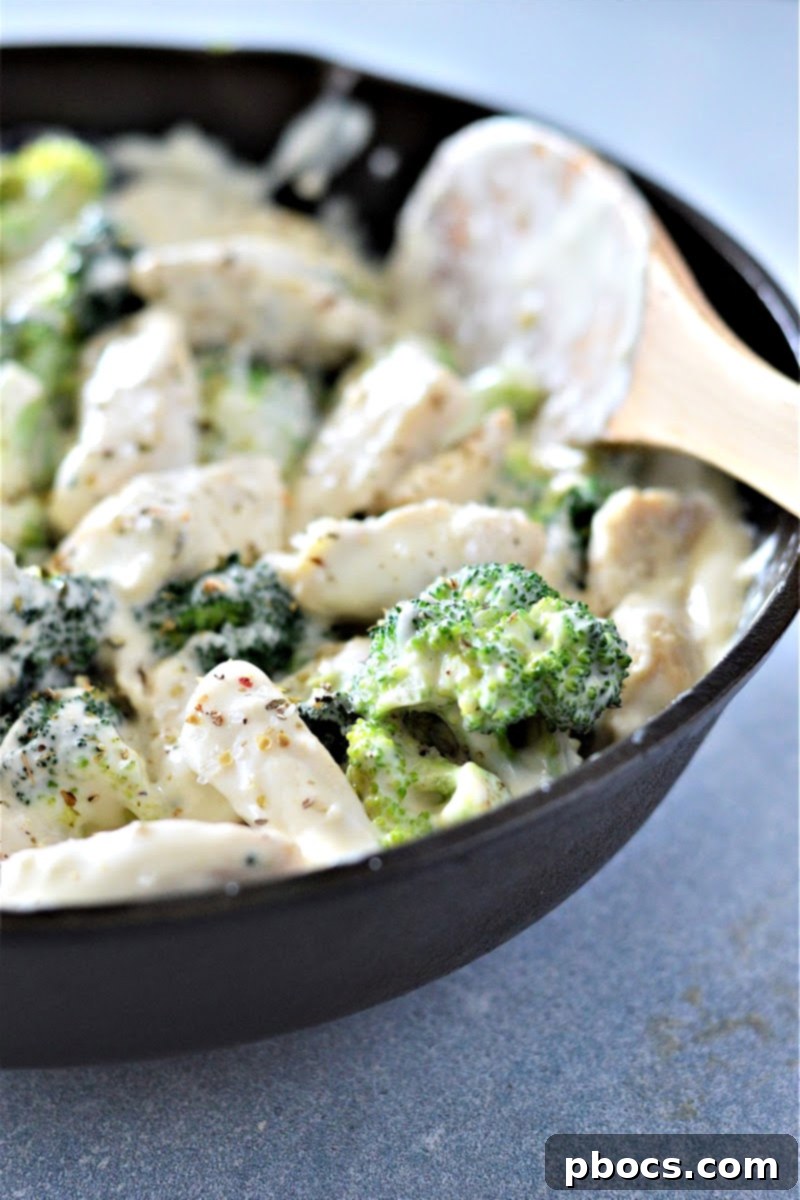 Creamy Low-Carb Chicken Alfredo 13 Chicken and broccoli mixed into the creamy alfredo sauce in a skillet.
