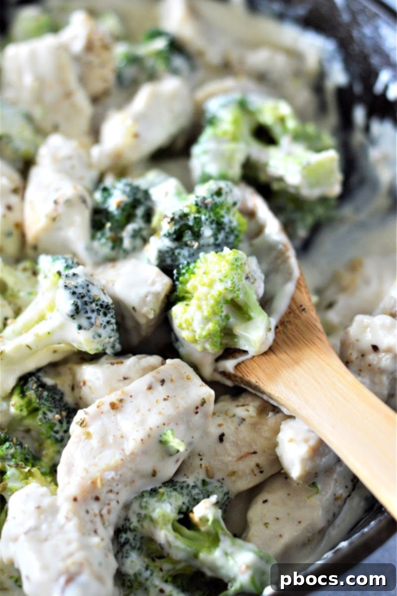 Creamy Low-Carb Chicken Alfredo 3 A close-up of creamy low-carb chicken alfredo with tender chicken and bright green broccoli florets.