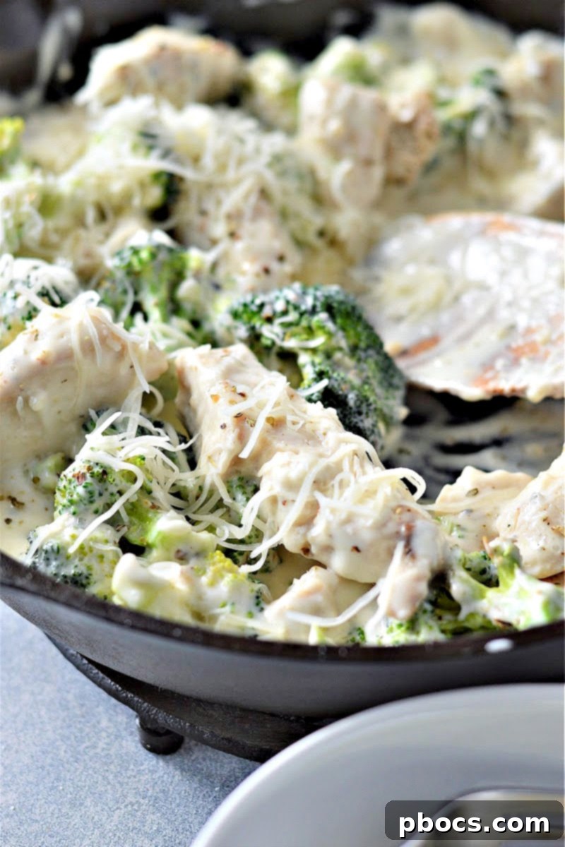 Creamy Low-Carb Chicken Alfredo 5 A bowl of creamy, low-carb chicken alfredo ready to be served.