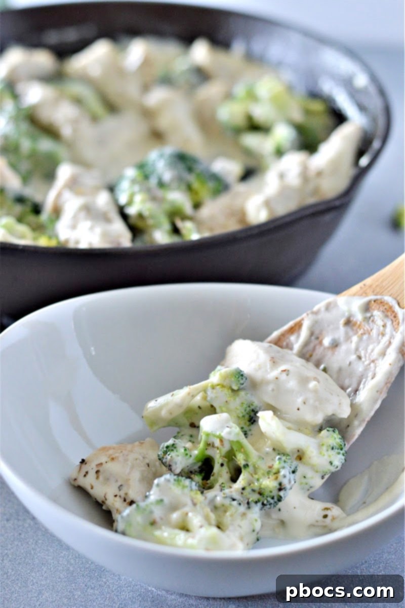 Creamy Low-Carb Chicken Alfredo 6 Leftover low-carb chicken alfredo stored in an airtight container.