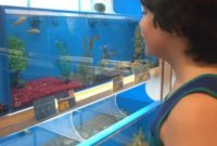 Robert’s First PetSmart Pal