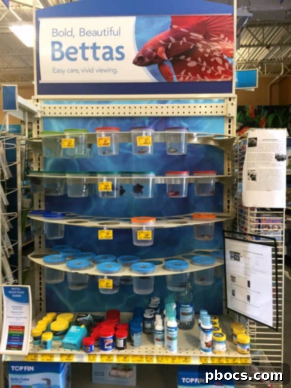 Robert's First PetSmart Pal 3 Robert's First Pet Fish From PetSmart