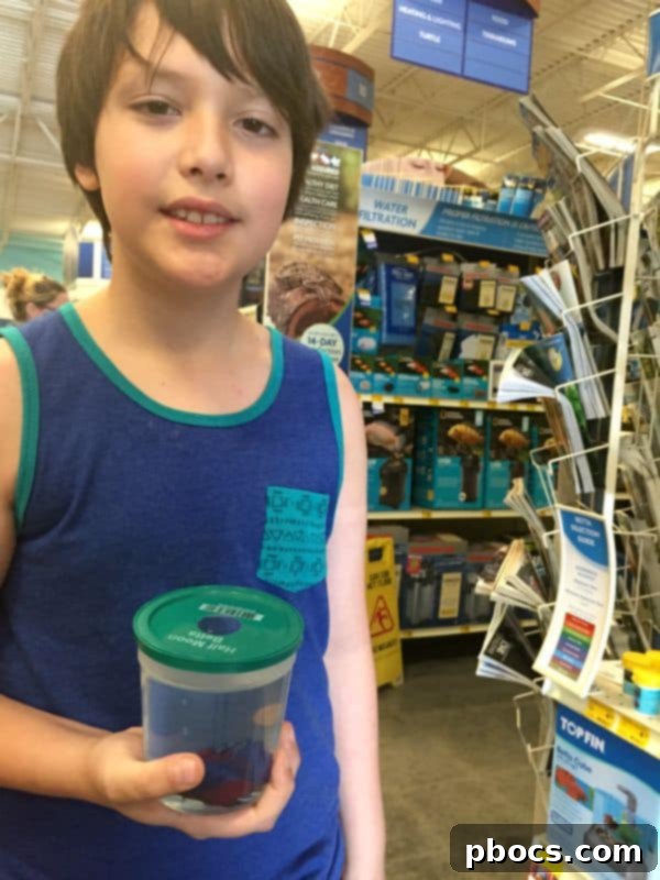 Robert's First PetSmart Pal 4 Robert's First Pet Fish From PetSmart