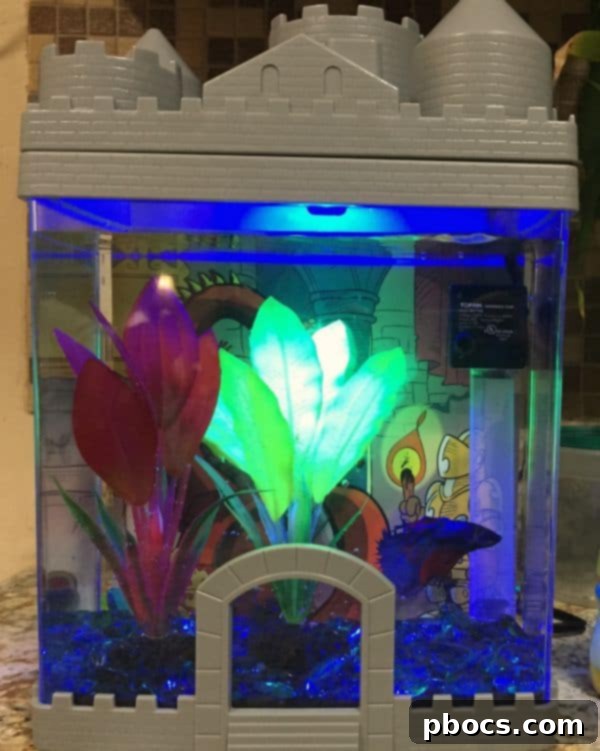 Robert's First PetSmart Pal 5 Robert's First Pet Fish From PetSmart