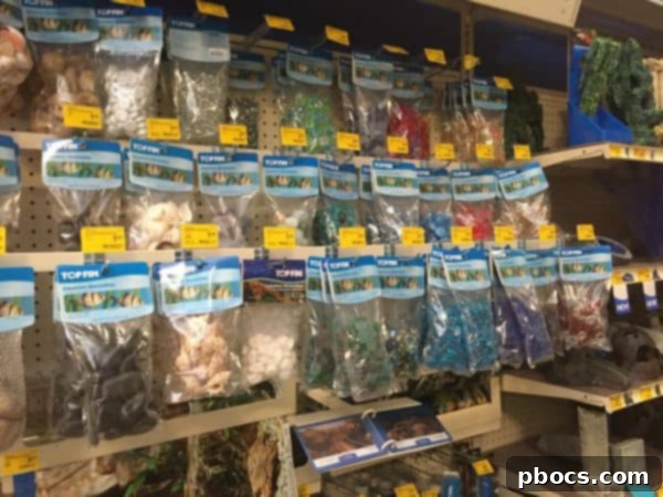 Robert's First PetSmart Pal 6 Robert's First Pet Fish From PetSmart