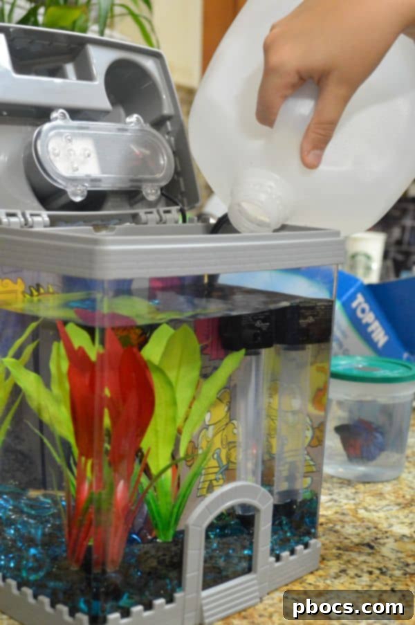 Robert's First PetSmart Pal 7 Robert's First Pet Fish From PetSmart