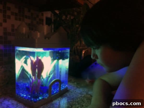 Robert's First PetSmart Pal 8 Robert's First Pet Fish From PetSmart