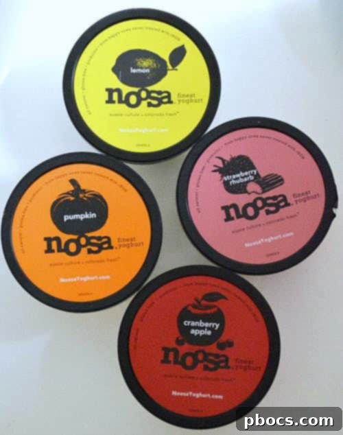 noosa Yoghurt: A Taste Like No Other 3 Array of Noosa Yoghurt Flavors and Tubs, showcasing vibrant packaging