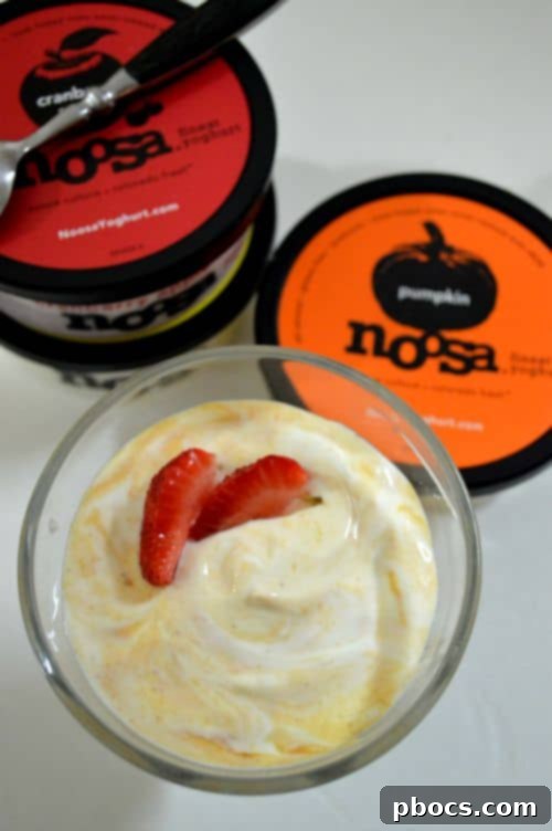 noosa Yoghurt: A Taste Like No Other 4 Close-up of a tub of Noosa Pumpkin Yoghurt, highlighting its creamy texture and inviting appearance