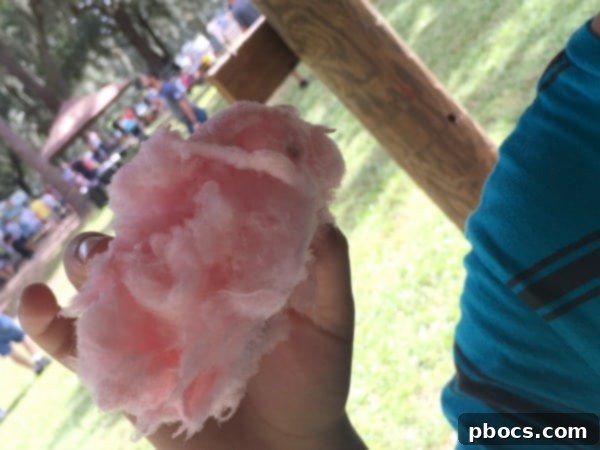 Fox Squirrel's Autumn Corn Adventure 12 Group photo at Fox Squirrel Corn Maze