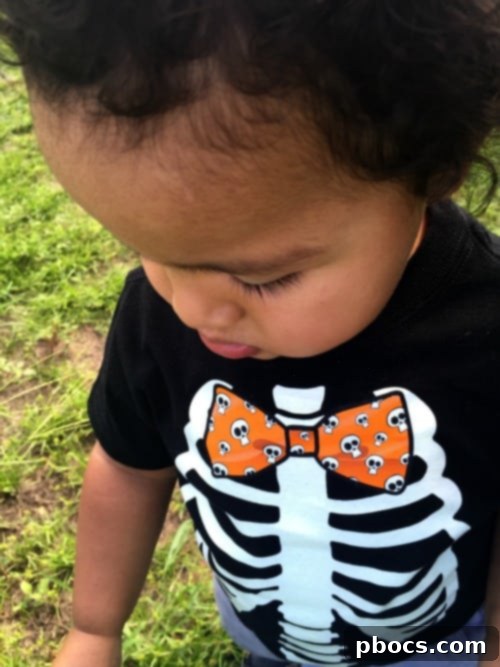 Fox Squirrel's Autumn Corn Adventure 13 Family enjoying the corn maze