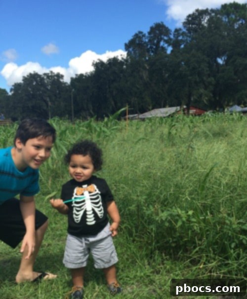 Fox Squirrel's Autumn Corn Adventure 4 Kids playing at Fox Squirrel Corn Maze