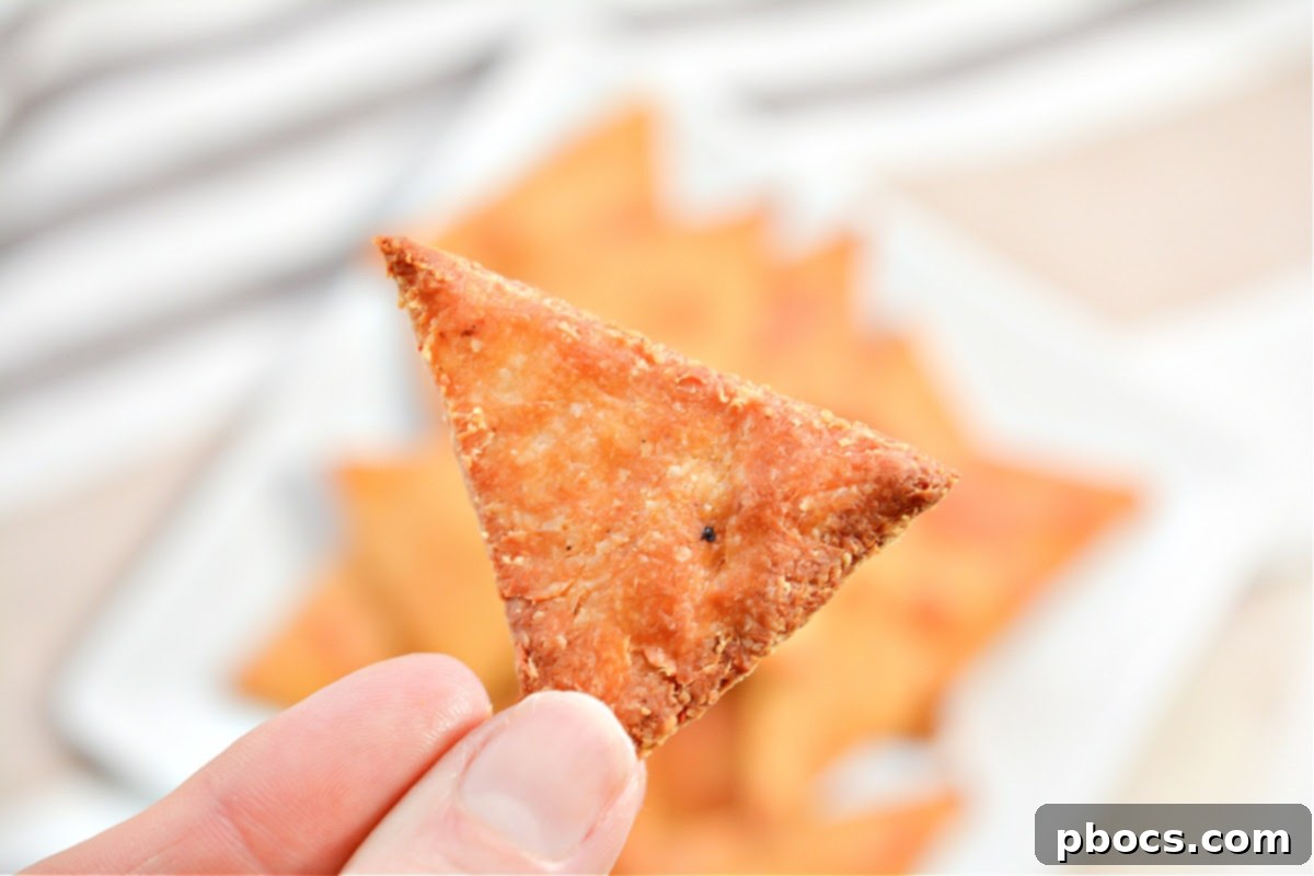 Keto Chili Lime Tortilla Crisps 3 Keto Chili Lime Tortilla Chips with dip