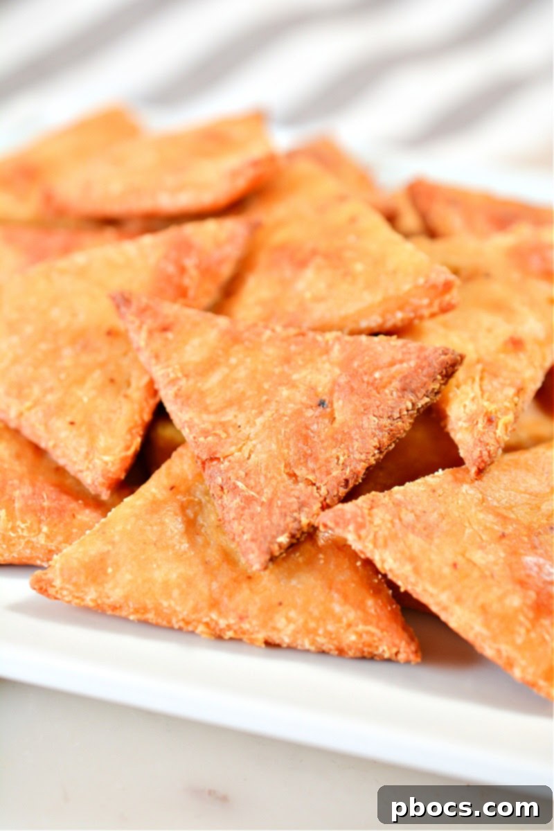 Keto Chili Lime Tortilla Crisps 4 Keto Chili Lime Tortilla Chips close up