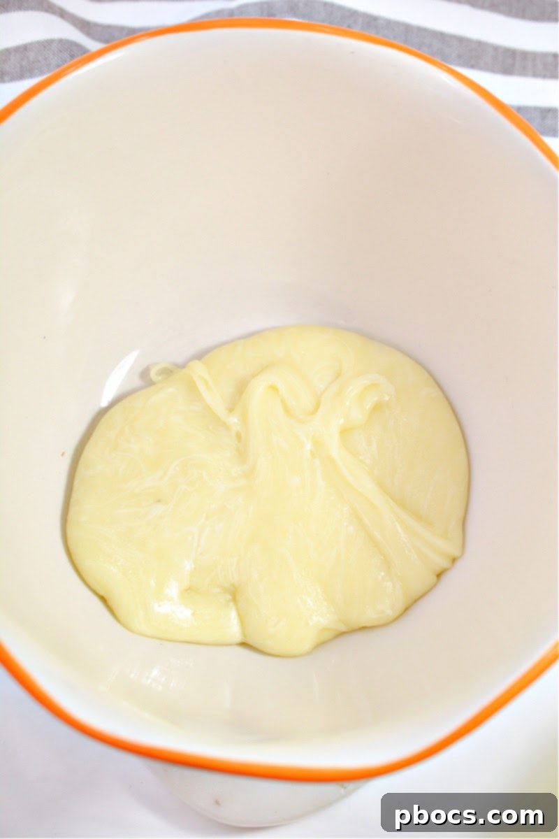 Keto Chili Lime Tortilla Crisps 8 Melted mozzarella cheese for keto tortilla chips