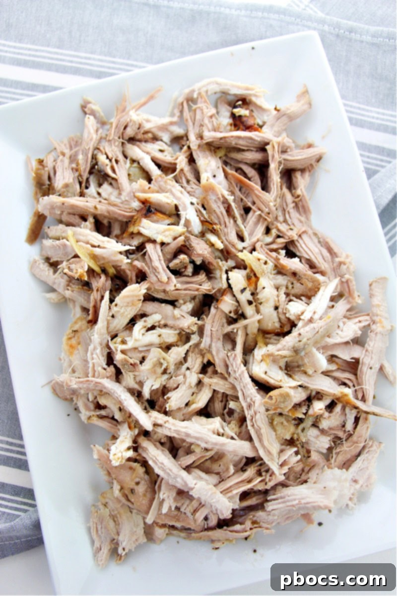 Low Carb Cuban Pork (Lechon)