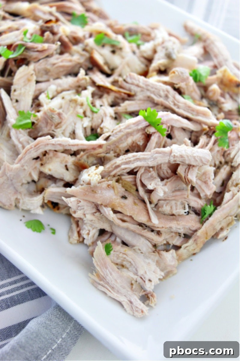Low Carb Cuban Pork (Lechon)