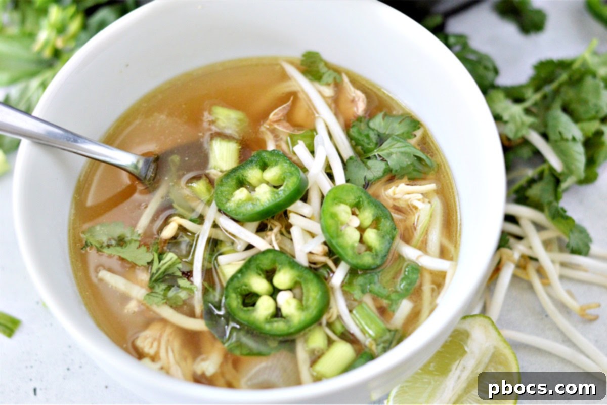 Close-up of a bowl of low-carb chicken pho with Palmini noodles and fresh cilantro.