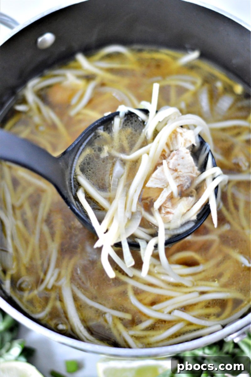 Shredded chicken and thinly sliced white onion simmering in aromatic pho broth.
