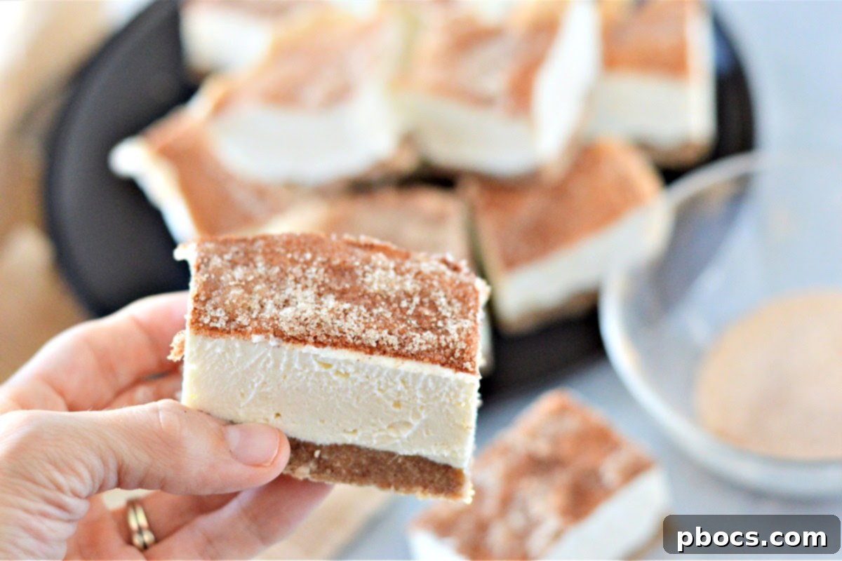 Serving suggestions for Keto No-Bake Churro Cheesecake Bars and other keto treats