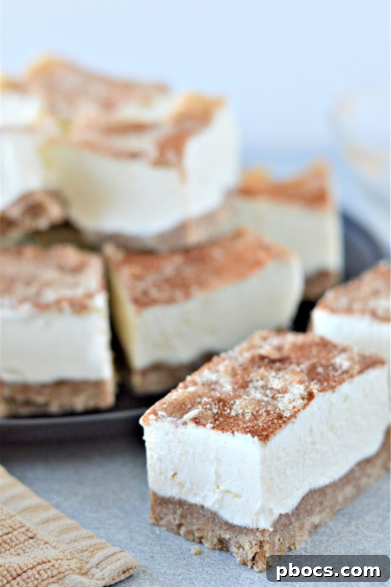 Close-up of perfectly layered Keto No-Bake Churro Cheesecake Bars