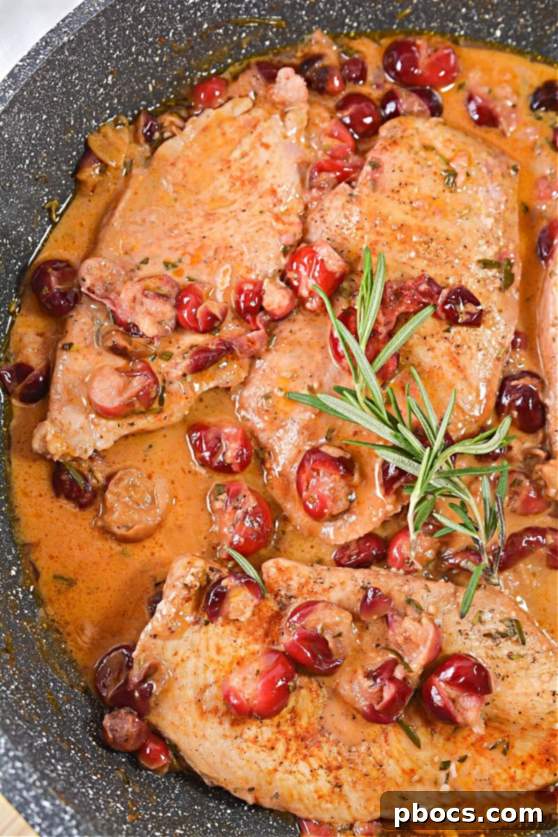 Plated Creamy Keto Cranberry Rosemary Chicken Skillet, garnished with fresh rosemary and cranberries.