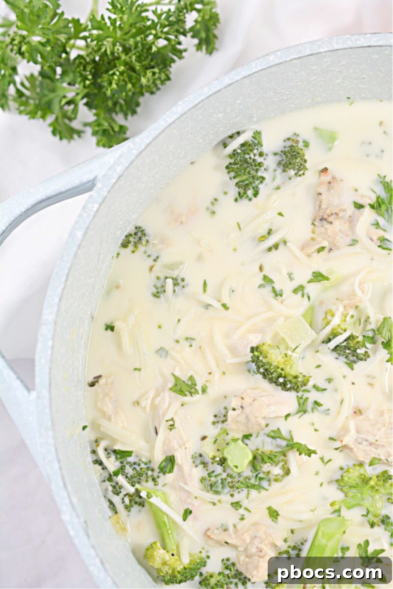 Creamy Keto Chicken Alfredo Soup 2 Keto Chicken Alfredo Soup with tender chicken, broccoli, and Palmini noodles in a rich alfredo broth