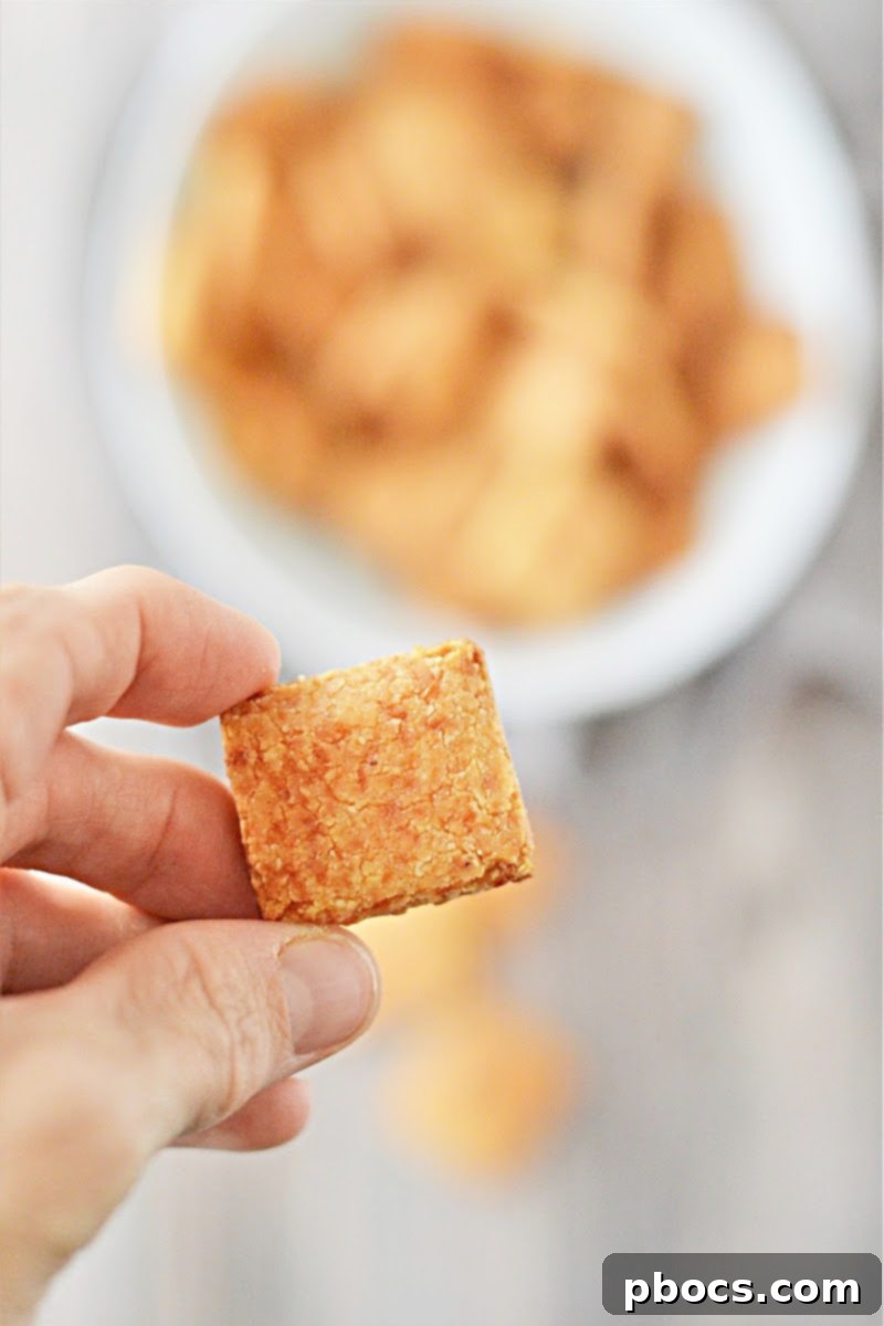 Hand holding a Keto Cheese Cracker, ready for dipping