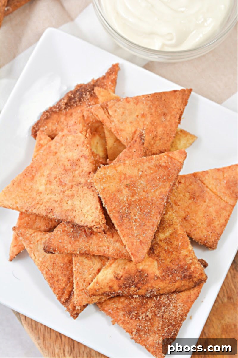 Keto Churro Crunch with Cheesecake Dip 2 Keto Churro Chips With Cheesecake Dip