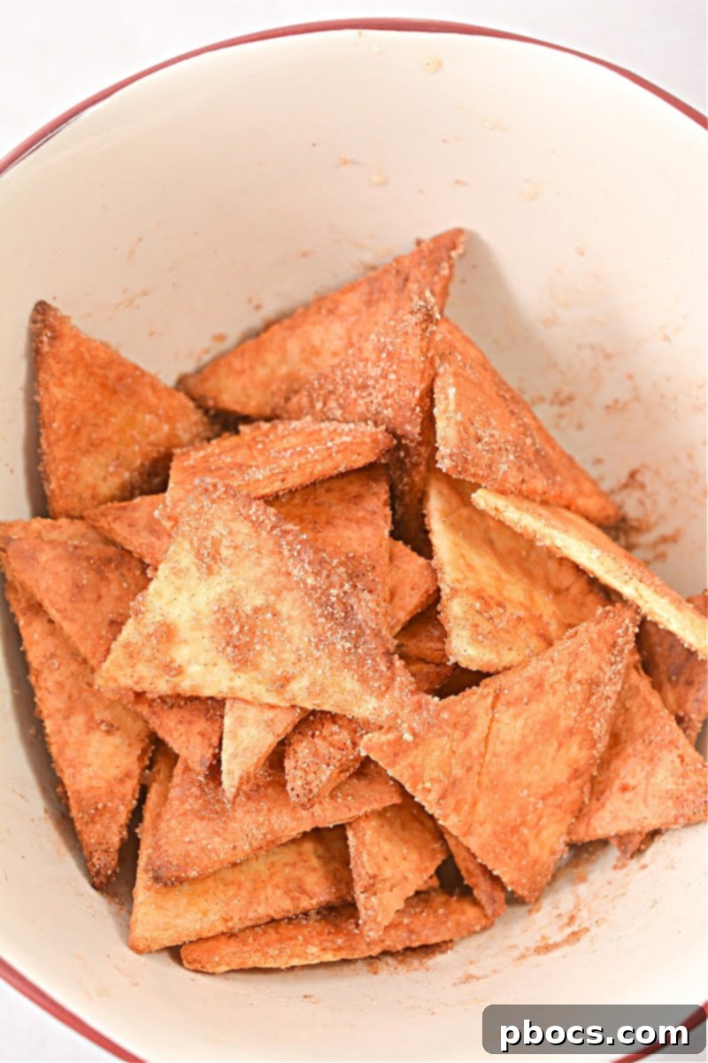 Keto Churro Crunch with Cheesecake Dip 17 Keto Churro Chips With Cheesecake Dip