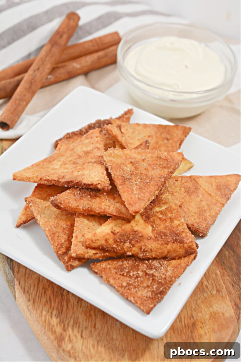 Keto Churro Crunch with Cheesecake Dip 3 Keto Churro Chips With Cheesecake Dip