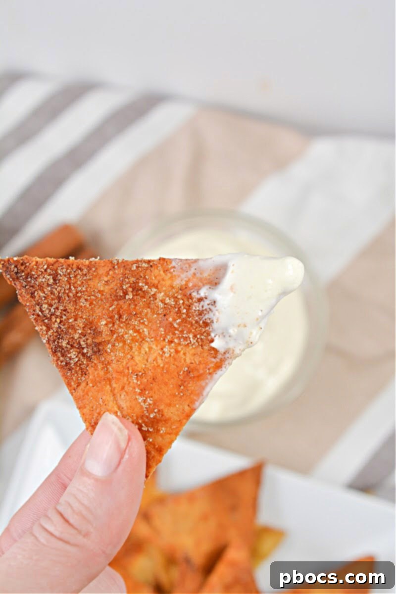 Keto Churro Crunch with Cheesecake Dip 6 Keto Churro Chips With Cheesecake Dip