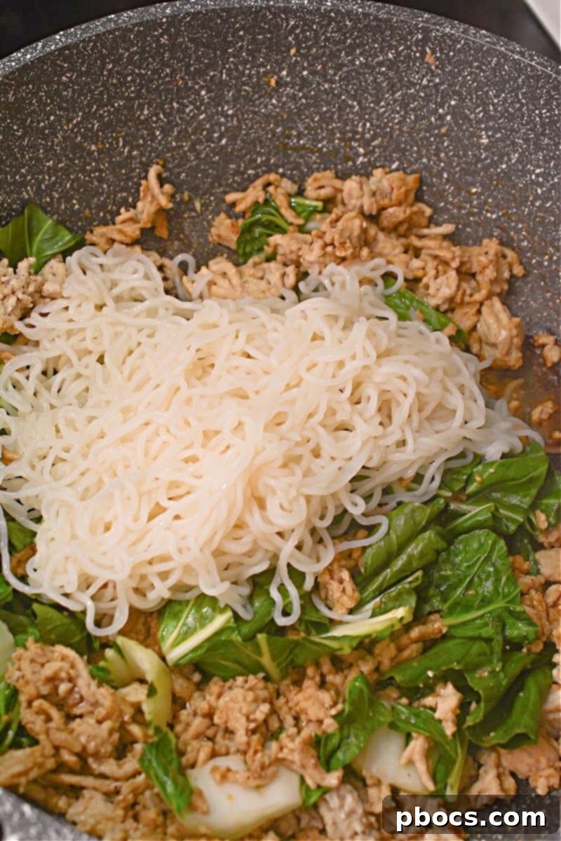 Best Keto Noodles for Dan Dan - Shirataki Noodles